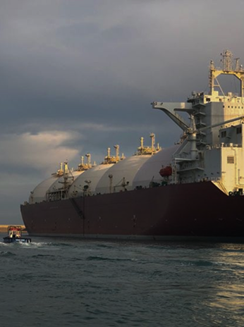 LPG Cylinder Carriers